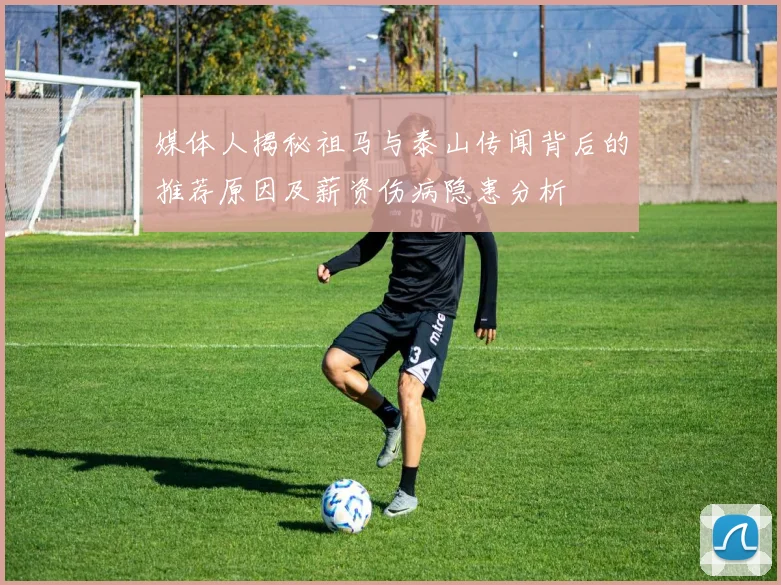 媒体人揭秘祖马与泰山传闻背后的推荐原因及薪资伤病隐患分析