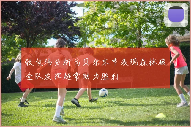 张佳玮分析戈贝尔末节表现森林狼全队发挥超常助力胜利