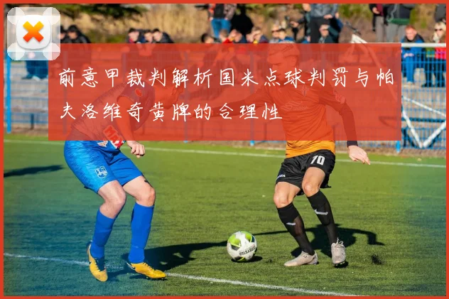 前意甲裁判解析国米点球判罚与帕夫洛维奇黄牌的合理性