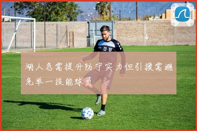 湖人急需提升防守实力但引援需避免单一技能球员